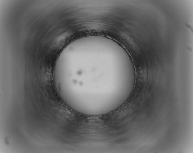 X0000096680918200802051242