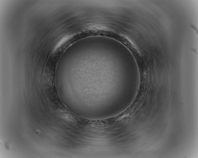 X0000096680919200802051242