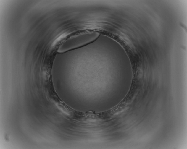 X0000096680920200802051242