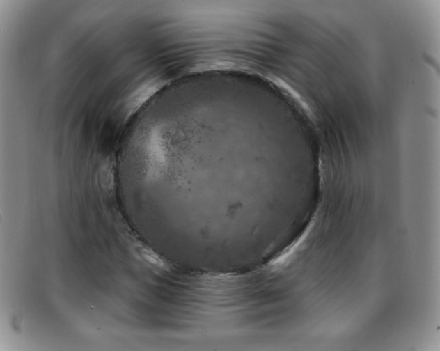 X0000096680921200802051242