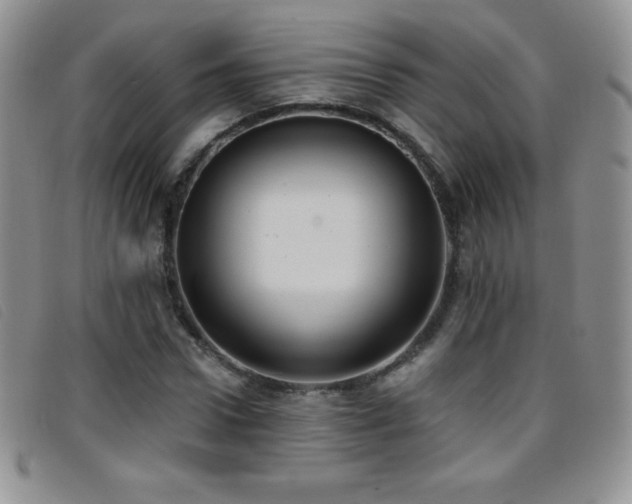 X0000096680922200802051242