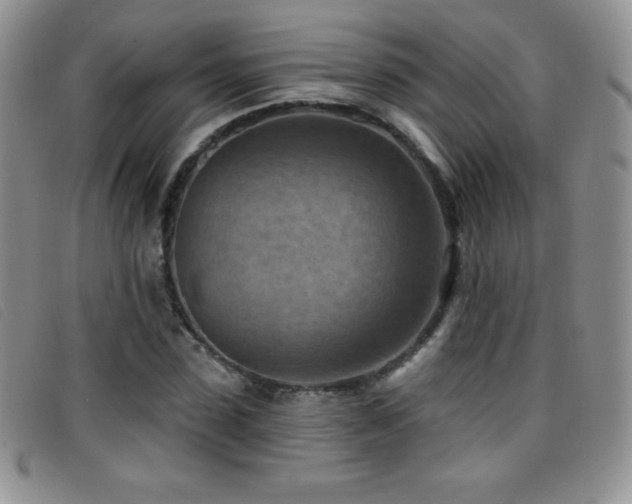 X0000096680923200802051242