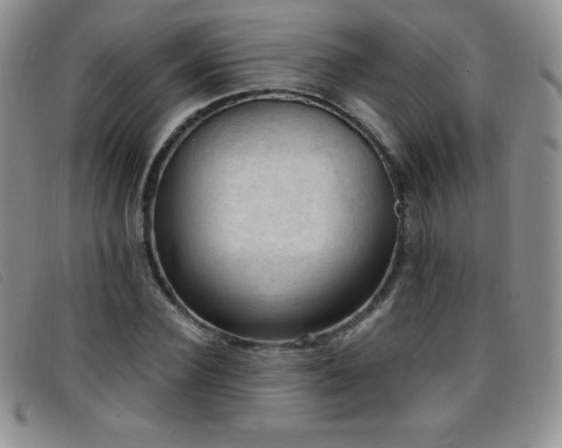 X0000096680924200802051242