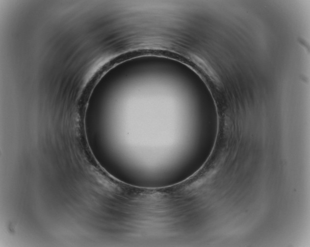 X0000096680926200802051242