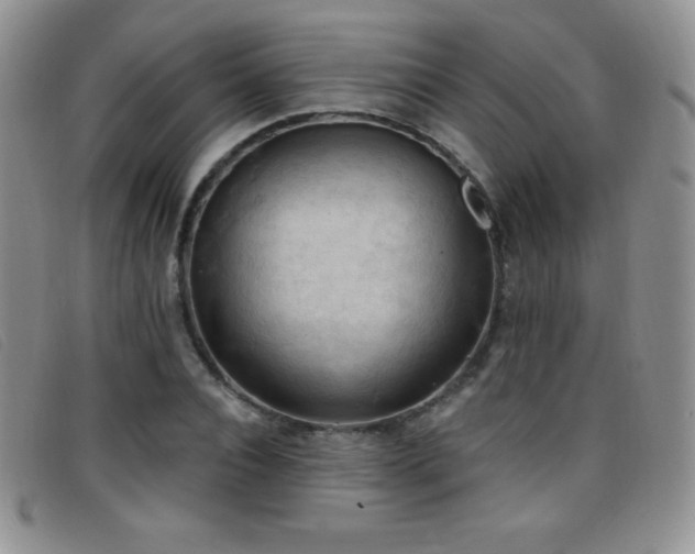 X0000096680928200802051242