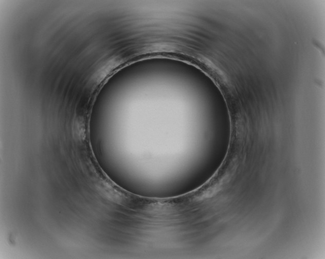 X0000096680929200802051243