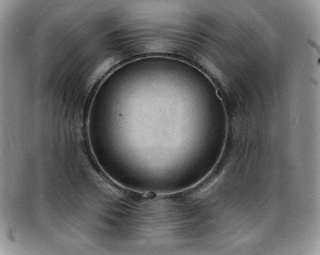 X0000096680930200802051243