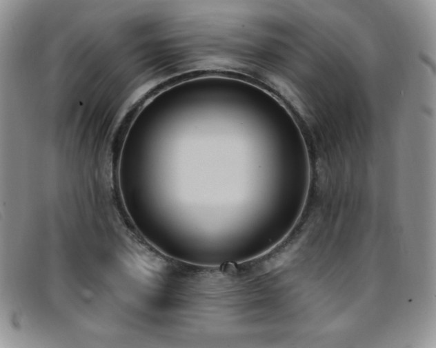 X0000096680931200802051243
