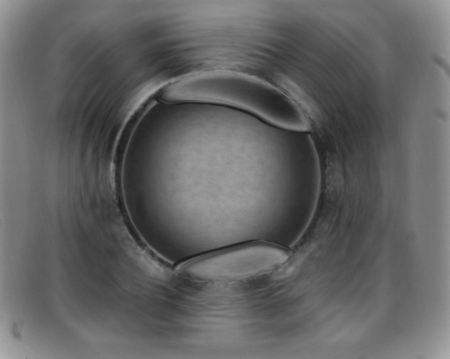 X0000096680932200802051243