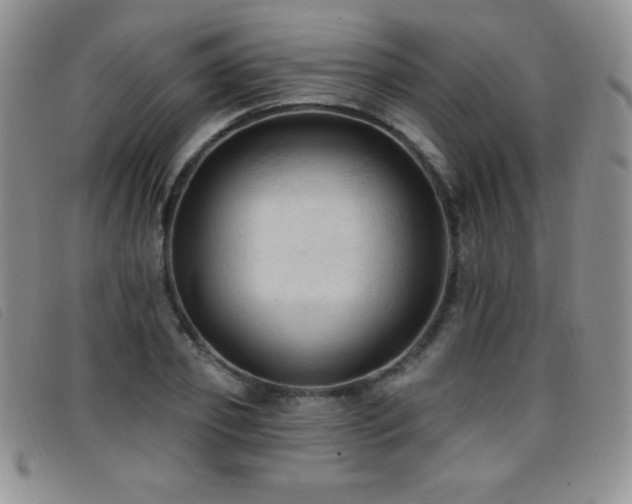 X0000096680933200802051243