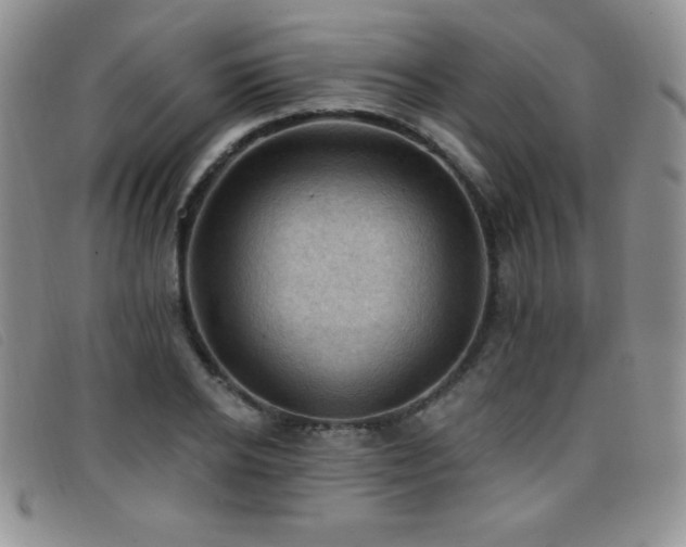 X0000096680934200802051243