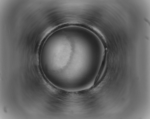 X0000096680935200802051243