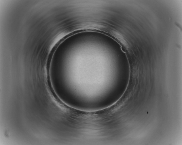 X0000096680936200802051243