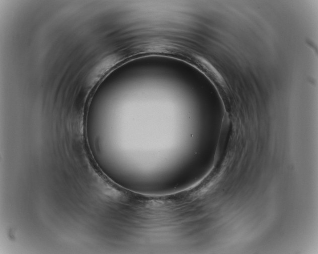 X0000096680938200802051243