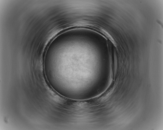 X0000096680939200802051243