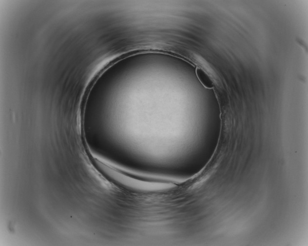X0000096680940200802051243