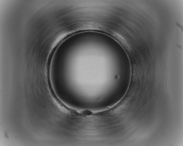 X0000096680942200802051243