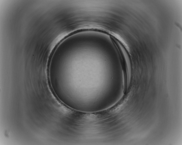 X0000096680943200802051243