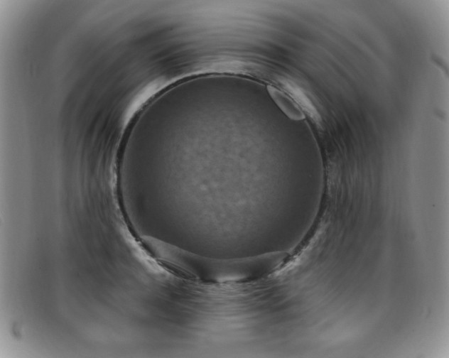 X0000096680944200802051243