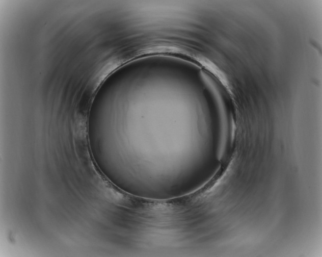 X0000096680945200802051243