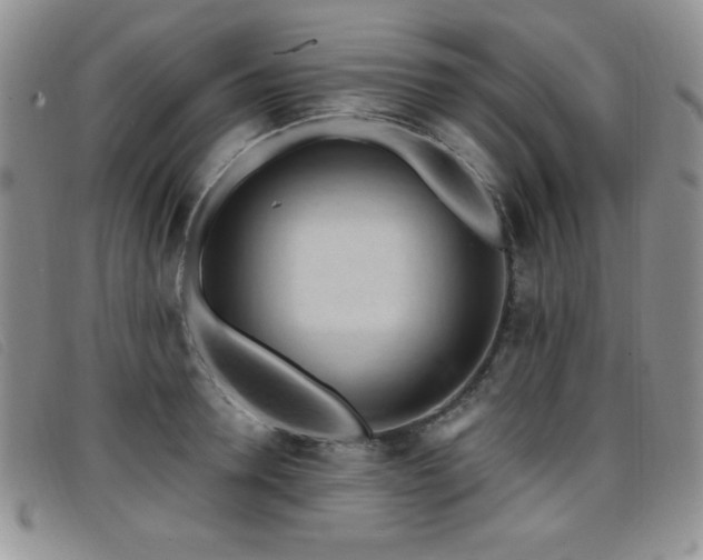X0000096680946200802051243