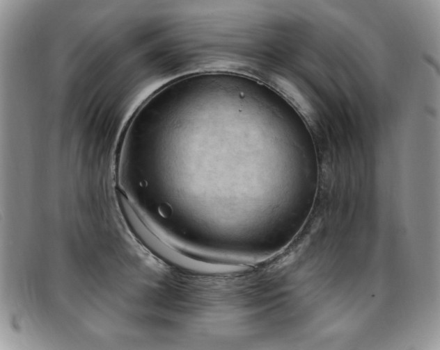 X0000096680948200802051243