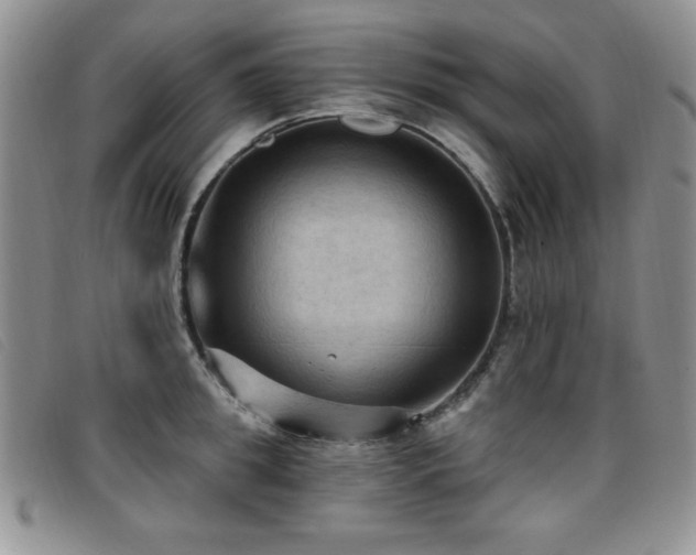 X0000096680949200802051243