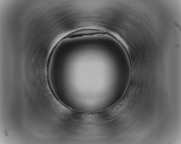 X0000096680951200802051243