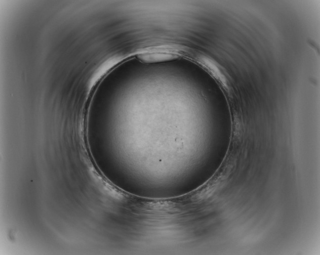 X0000096680952200802051243