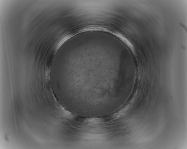 X0000096680953200802051243