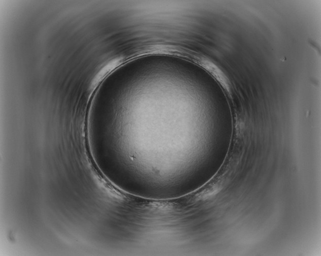 X0000096680954200802051243