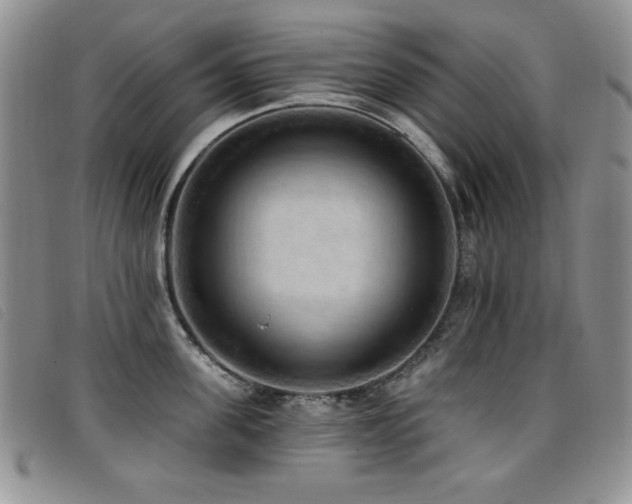X0000096680955200802051243