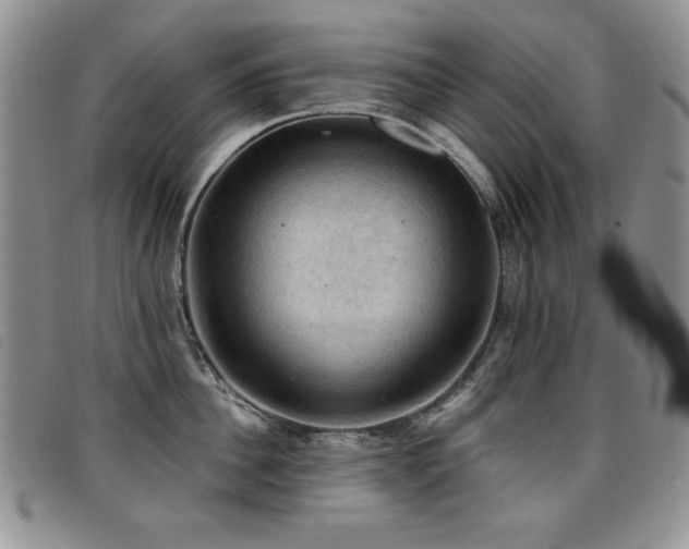X0000096680956200802051243
