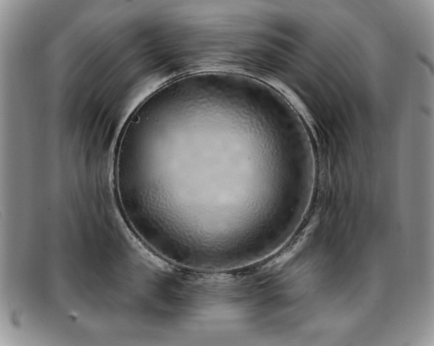 X0000096680957200802051243