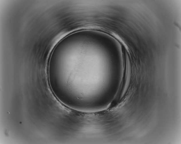 X0000096680959200802051243