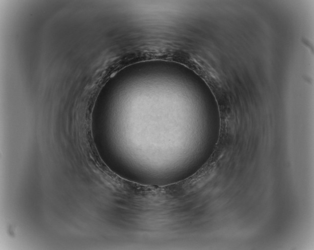 X0000096680961200802051242