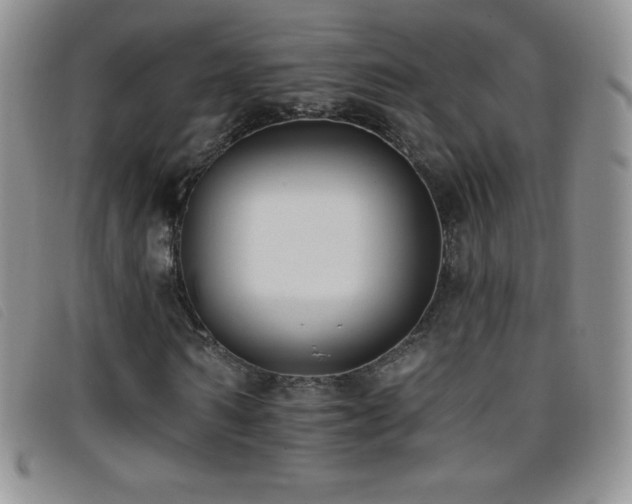 X0000096680962200802051242