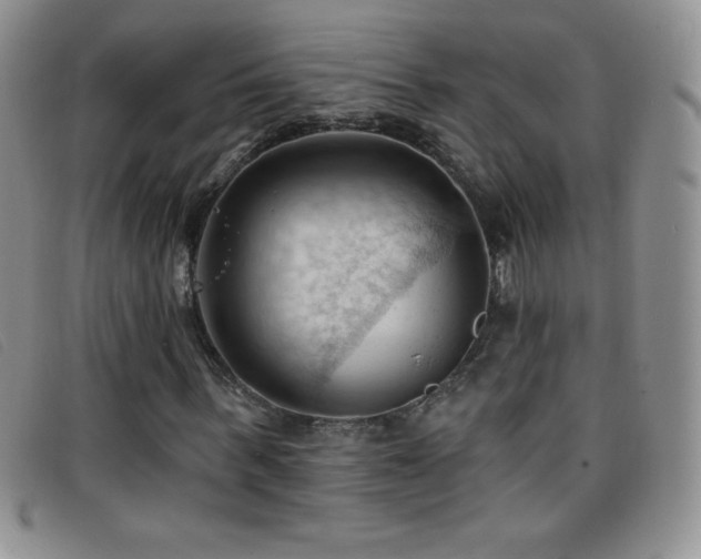 X0000096680963200802051242