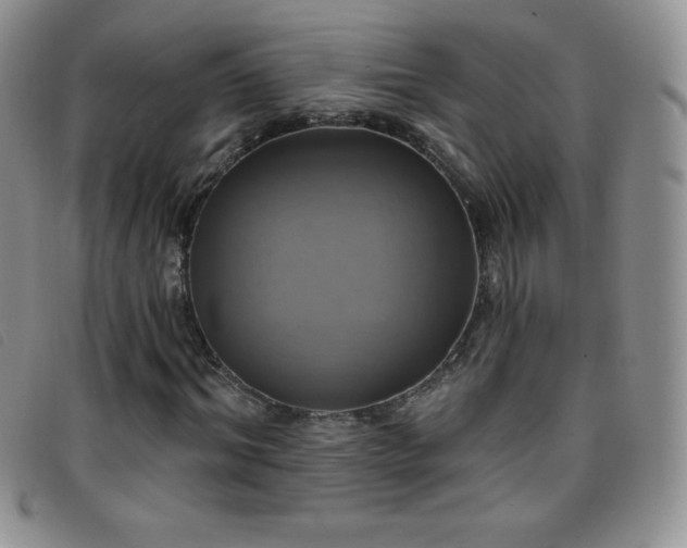 X0000096680964200802051242