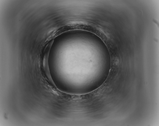 X0000096680965200802051242