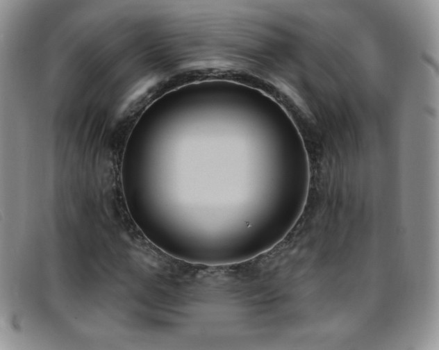 X0000096680967200802051242
