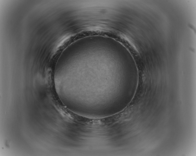 X0000096680968200802051242