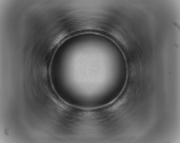 X0000096680969200802051242