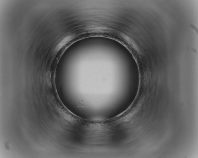 X0000096680970200802051242