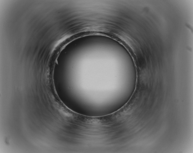 X0000096680971200802051242