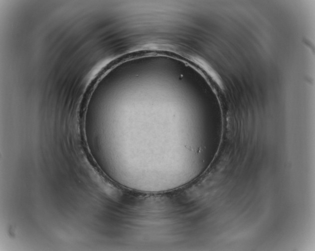 X0000096680972200802051242