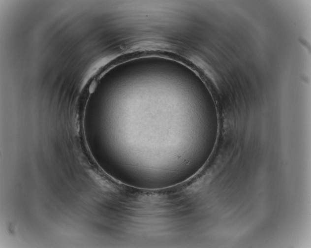 X0000096680973200802051242