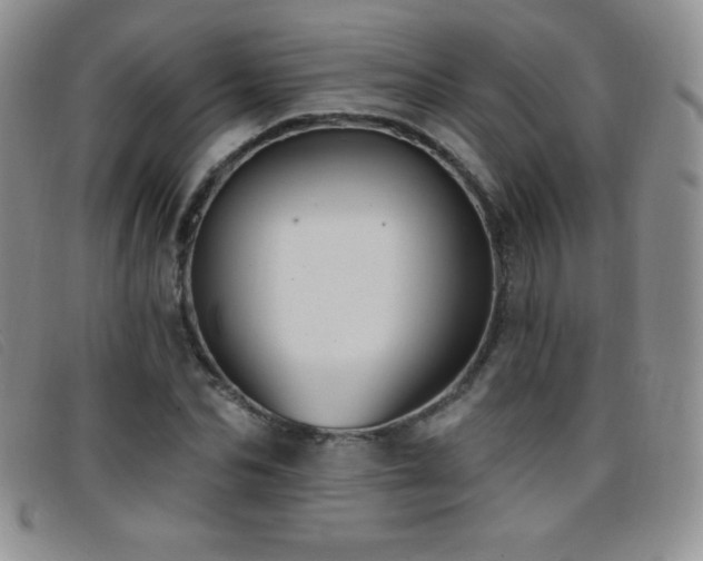 X0000096680974200802051242