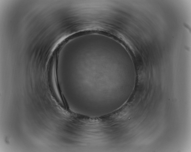X0000096680975200802051242