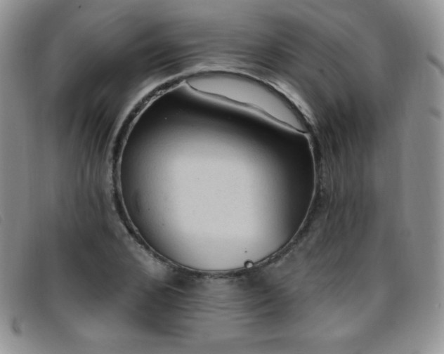 X0000096680976200802051242